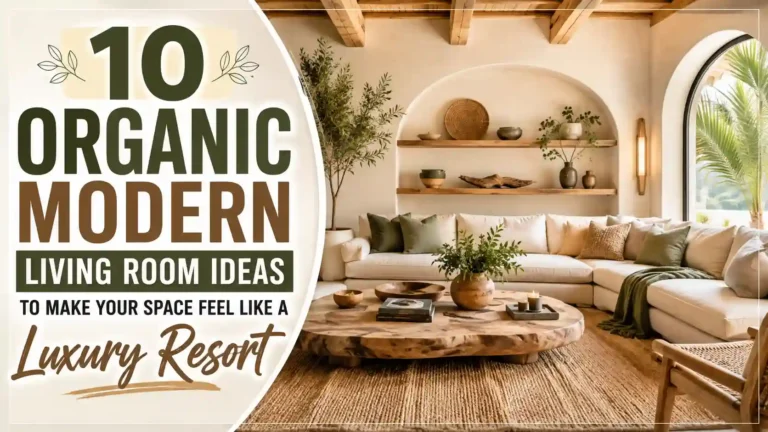 Organic Modern Living Room Ideas