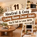 Neutral & Cozy Living Room Decor Ideas
